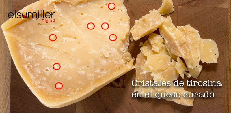 cristales tirosina queso